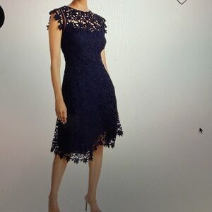 Eliza J Navy Asymmetrical Lace Dress